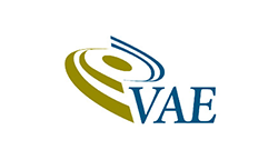 VAE